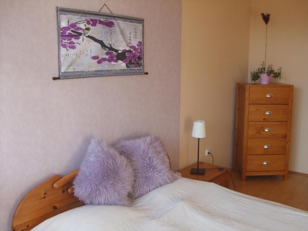 Feng Shui Wellness Apartmanház Hévíz Heviz Exterior foto